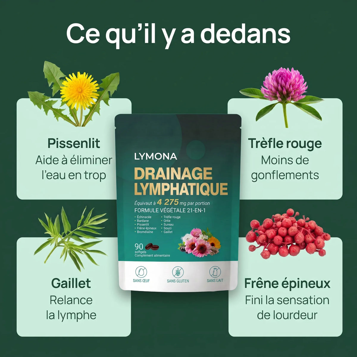 Ce qu'il y a dedans : pissenlit, trèfle rouge, gaillet, frêne épineux
